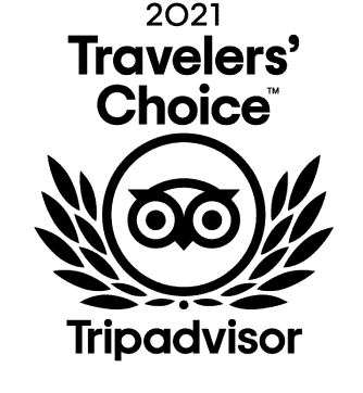 A black and white line drawing of a whale in profile, shown from the side. The whale has a distinct, streamlined shape with a slightly curved body, a small dorsal fin towards the back, and a prominent tail fluke. This simple and stylized design is reminiscent of an illustration that could have won the 2021 Travelers’ Choice Award.