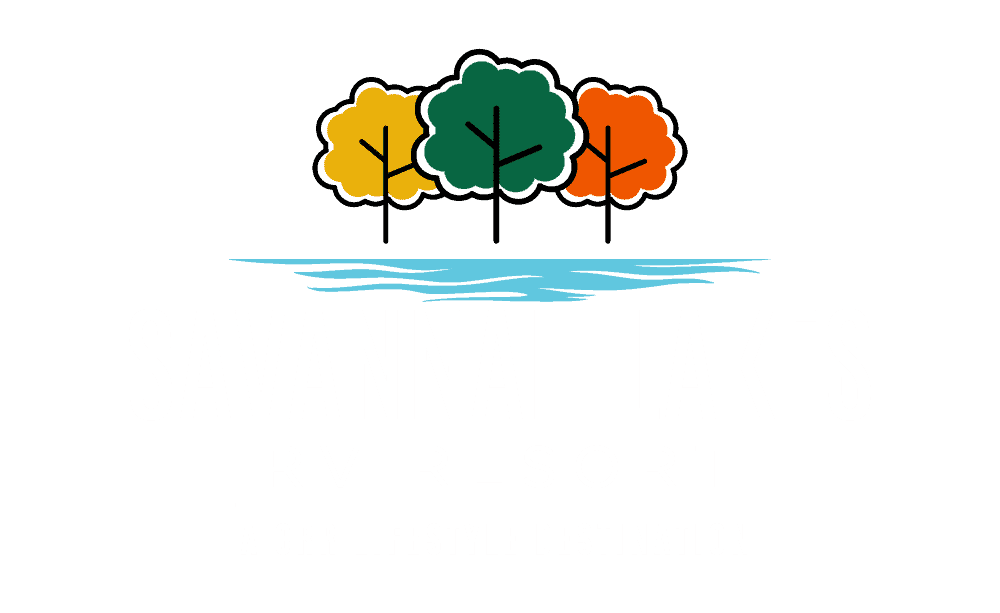 A simple drawing of three trees, each with different colored foliage, adorns the homepage. The left tree has yellow leaves, the middle tree has green leaves, and the right tree boasts red leaves. Below the trees is a blue horizontal stripe, suggesting water.