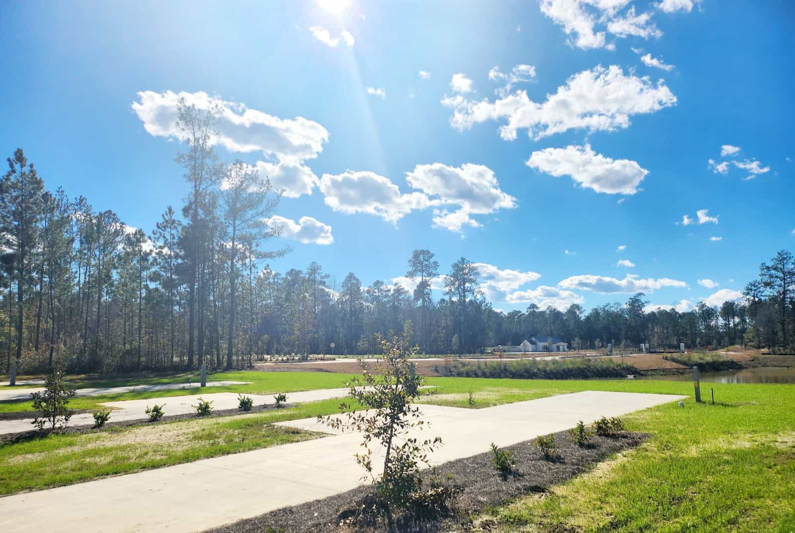 A serene park scene with a concrete path winding through green lawns and young trees. Tall pine trees are in the background, and a clear blue sky is dotted with fluffy white clouds. Nestled among the greenery are RV sites, seamlessly blending into the landscape as the sun shines brightly, casting gentle light.